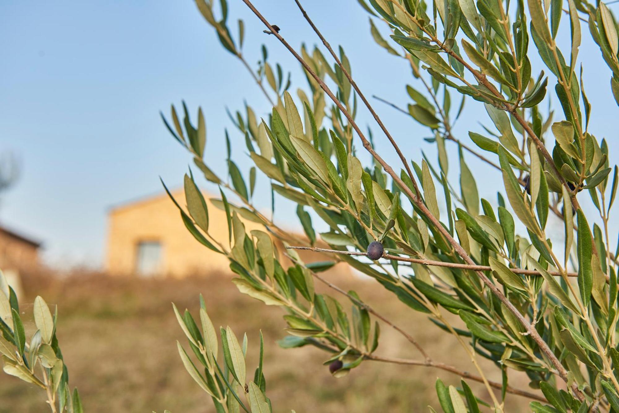 Agriturismo Prato Del Re Prignano sulla Secchia Экстерьер фото