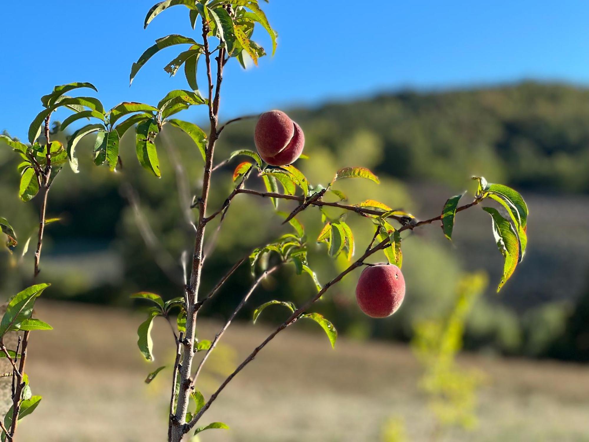 Agriturismo Prato Del Re Prignano sulla Secchia Экстерьер фото